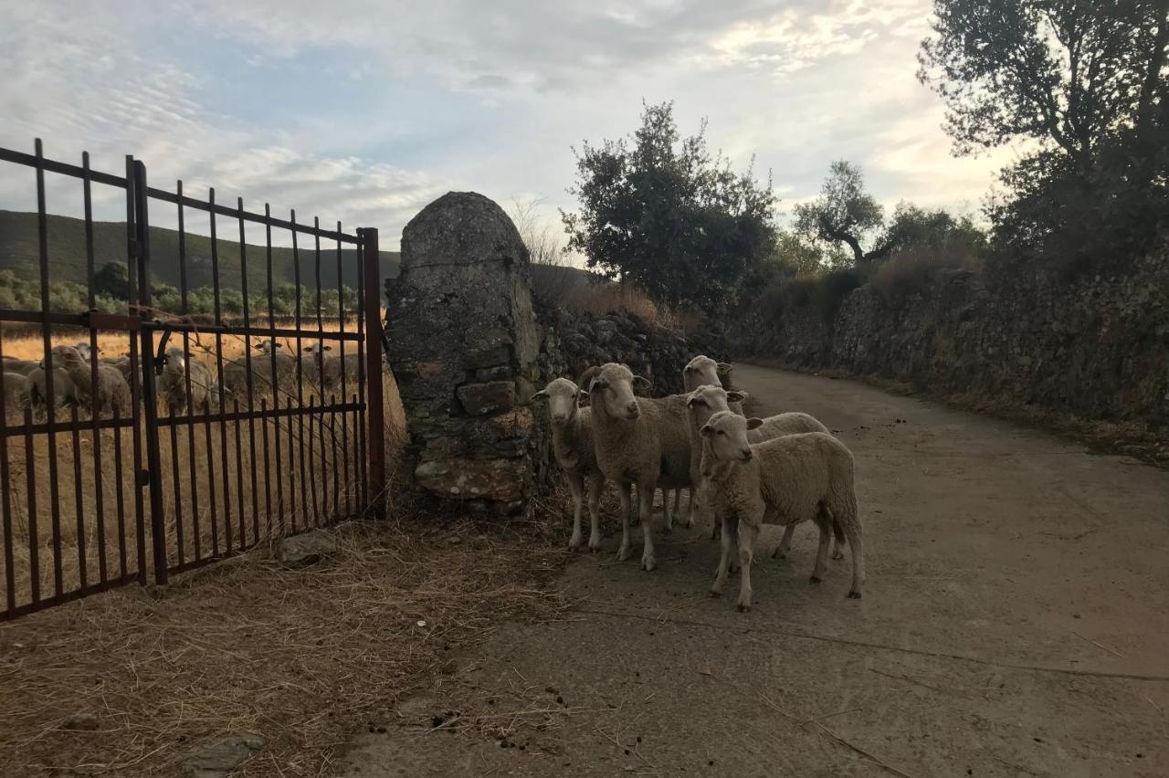 Los Naranjos Eco Home Apartamentos Rurales Casas de Millan Dış mekan fotoğraf