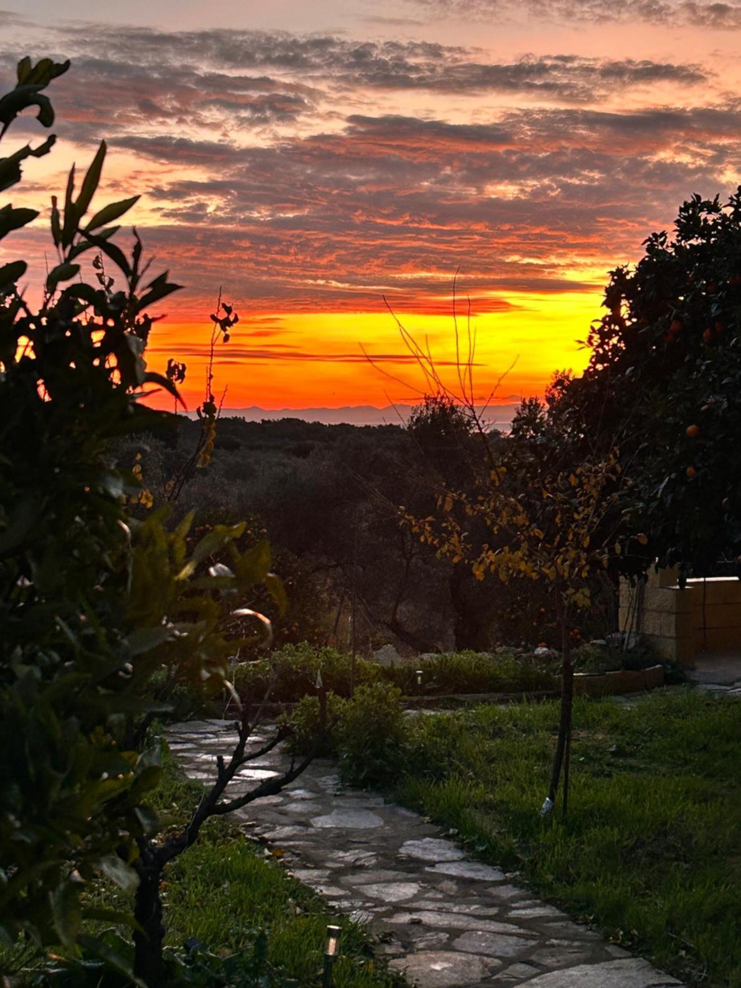 Los Naranjos Eco Home Apartamentos Rurales Casas de Millan Dış mekan fotoğraf